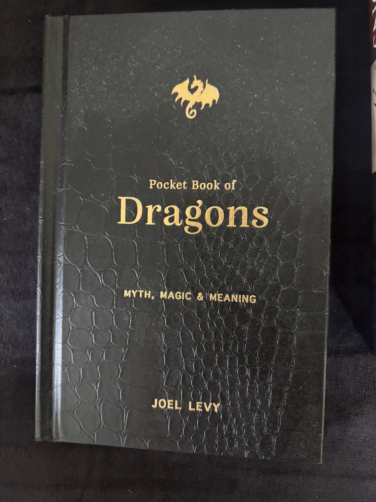Global Reads - Epic Dragons ENG