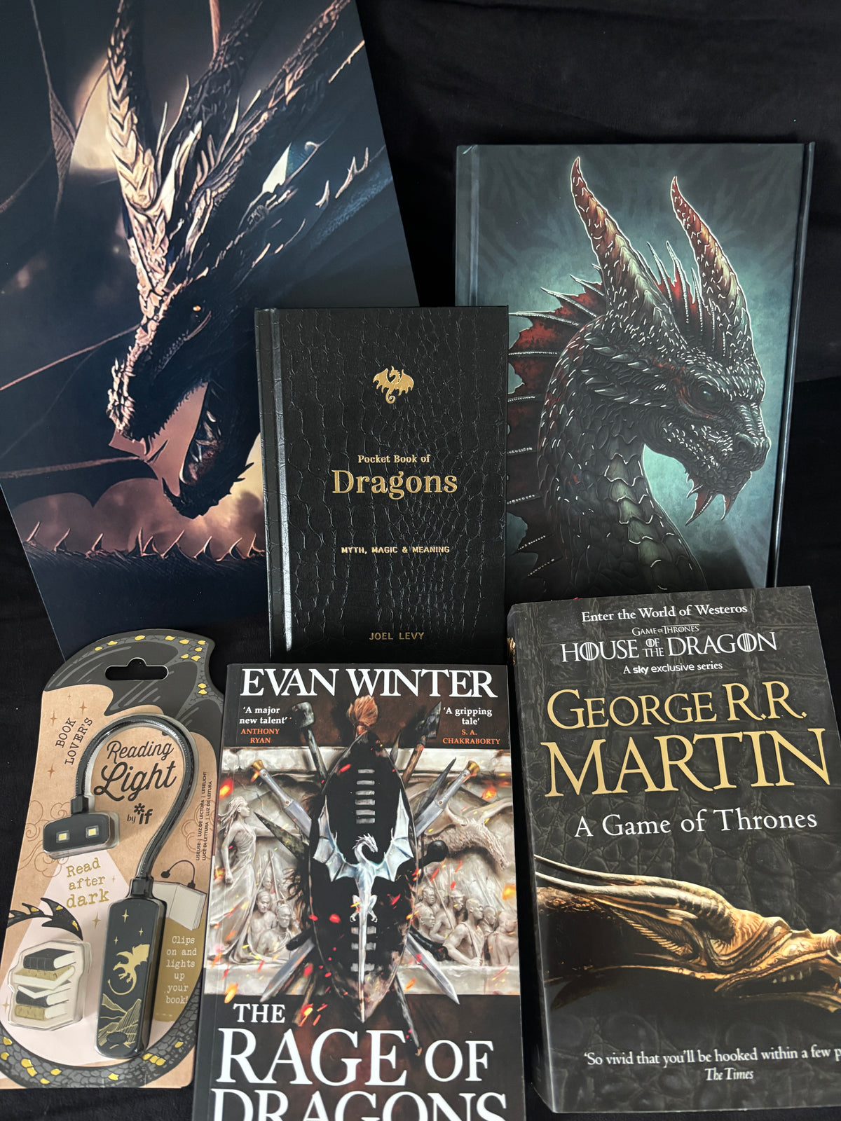 Global Reads - Epic Dragons ENG