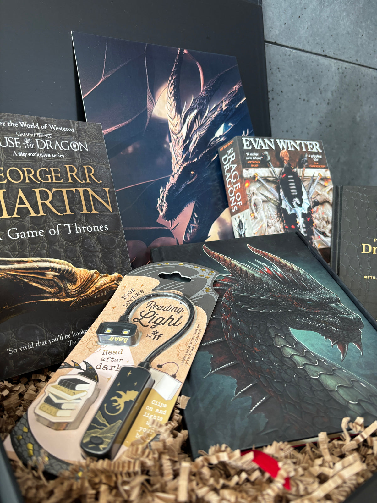 Global Reads - Epic Dragons ENG