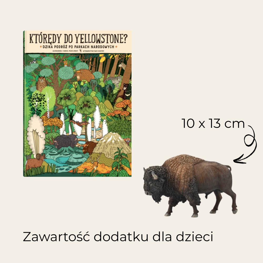 Story & Compass - Kowboje z Yellowstone
