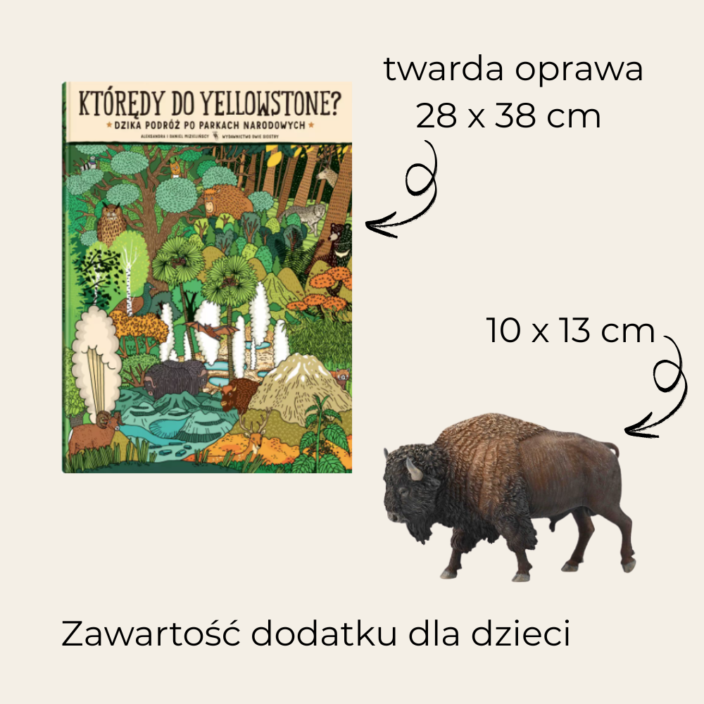 Story & Compass - Kowboje z Yellowstone
